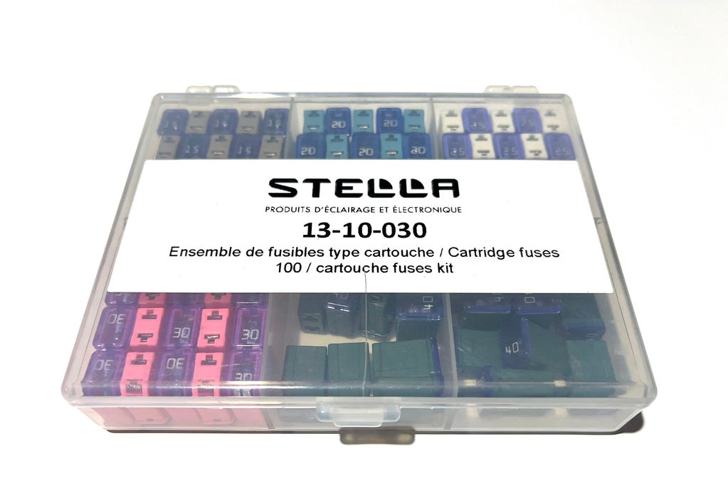 ASSORTED MMFLP LOW PROFILE FUSE KIT (100) (B2B) (CNUM:8198256211)