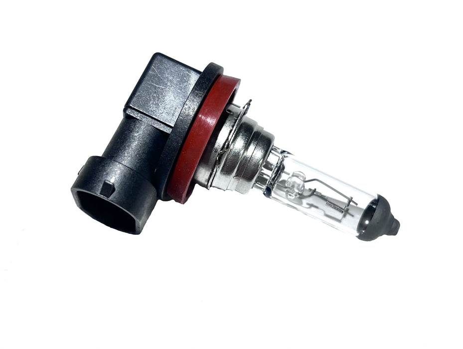 H11  12V HALOGEN BULB