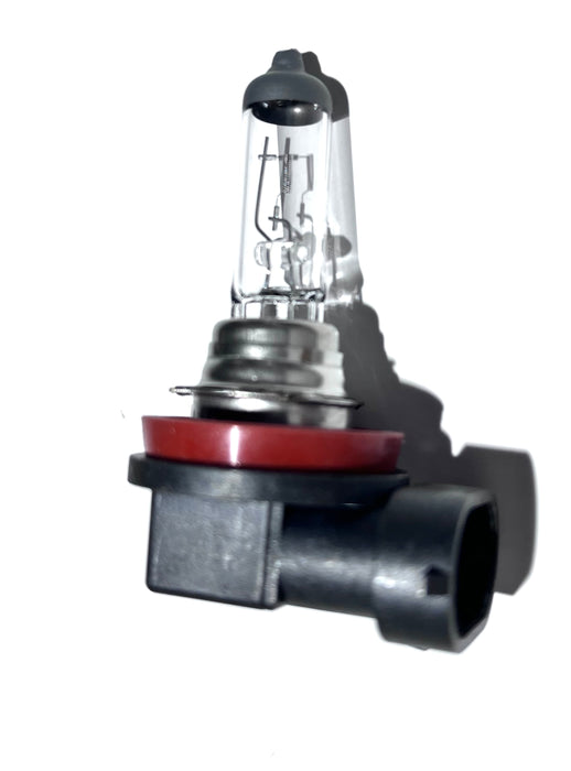 H8  12V HALOGEN BULB